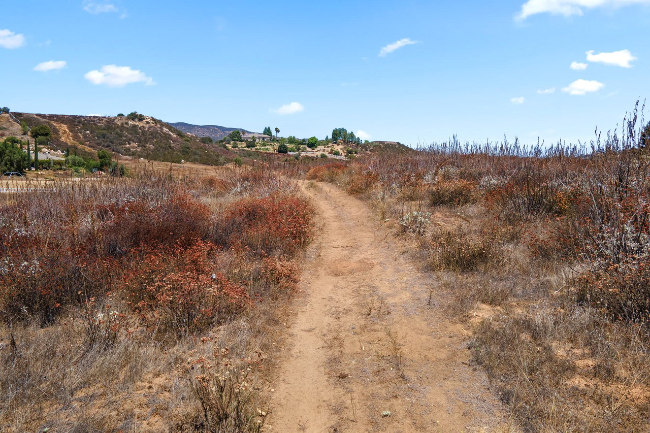 19049 Vista De Cielo