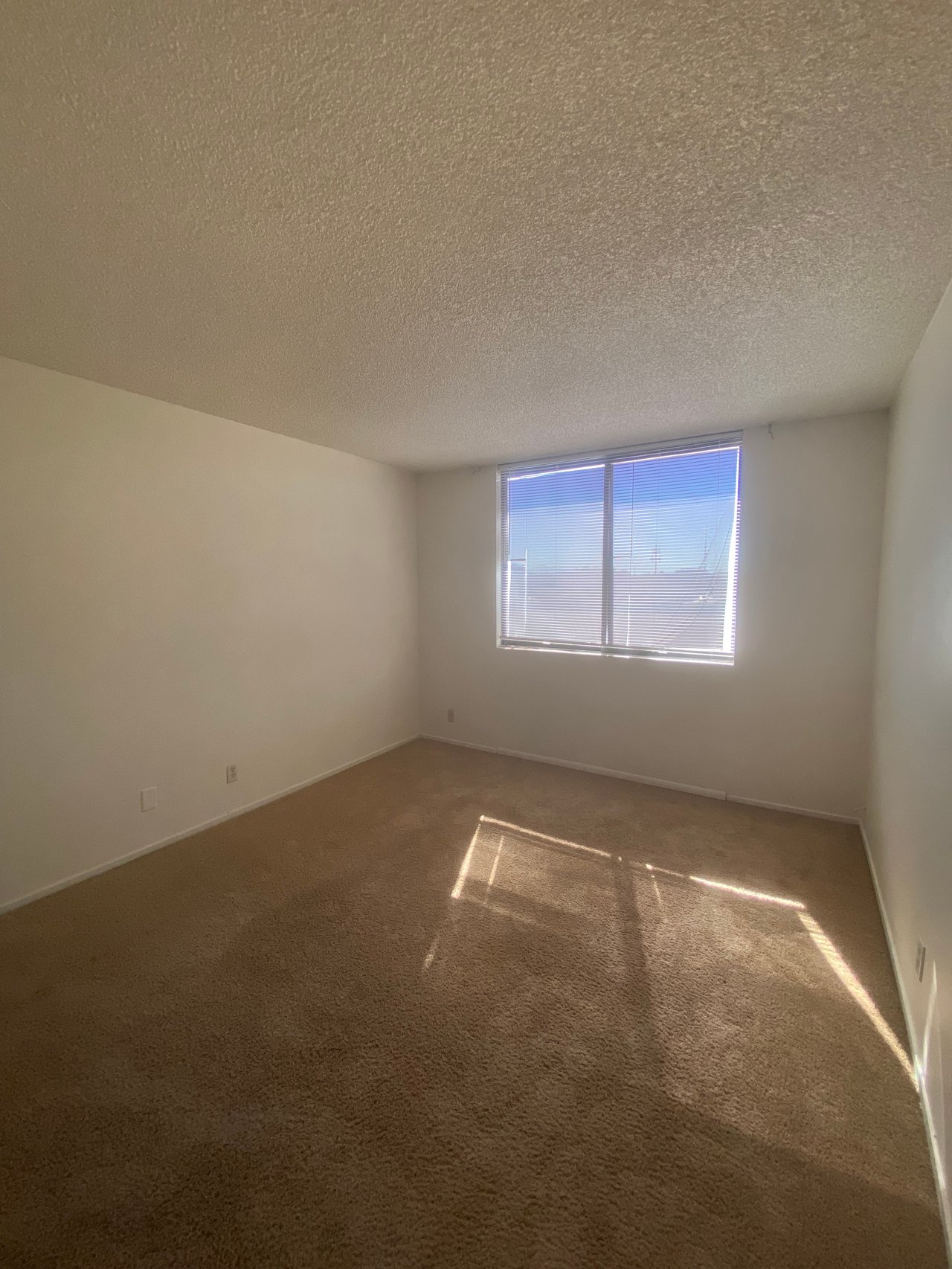 3930 University Center Drive #204