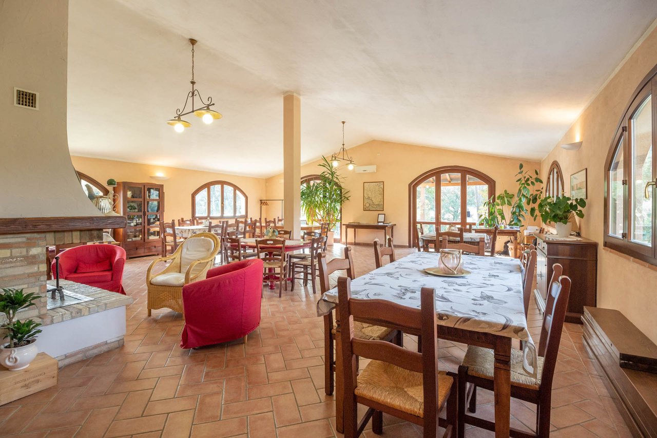 Organic Agriturismo in Roccastrada