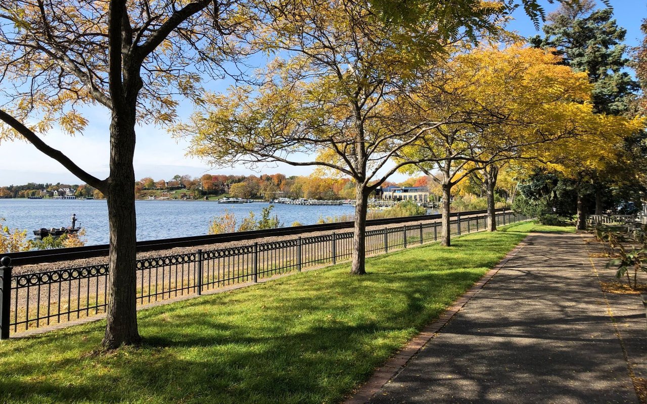 Wayzata