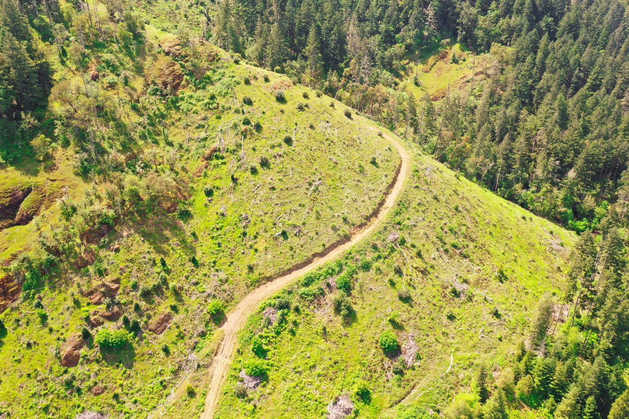 STRICKLAND BOULDER FOREST