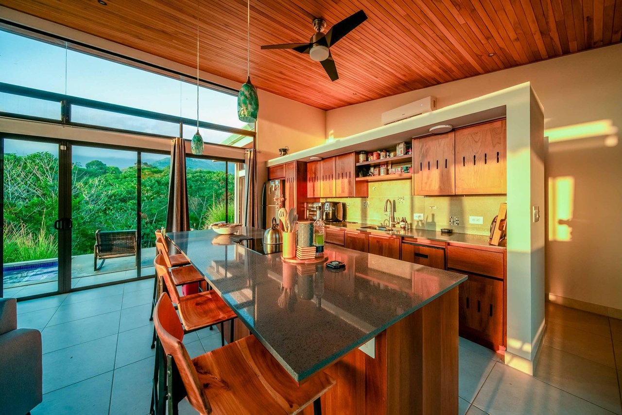 Guest House and Infinity Pool Ocean View Luxury Estate