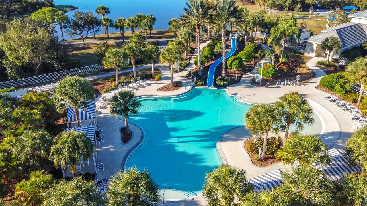 Grand Palm