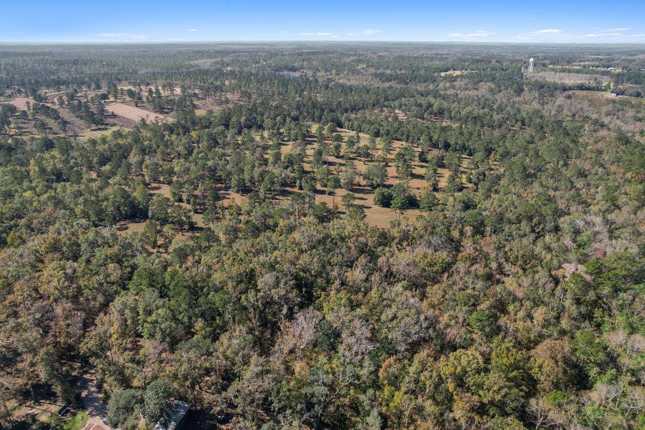 Aerial view of a vast, lush forest with green tree canopy under a clear blue sky. Sparse clearings and a small building are visible, conveying tranquility.