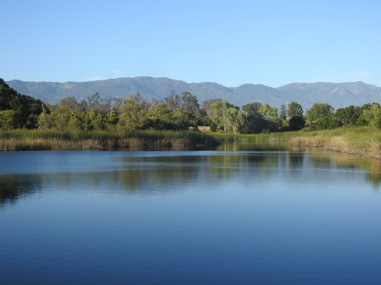 Goleta