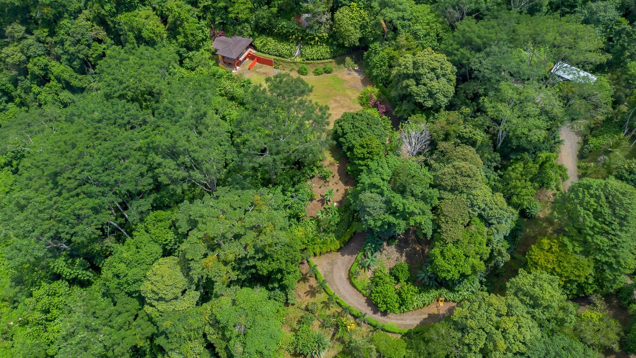 On-Site Living to Build-Ready Land in Tres Ríos, Costa Rica
