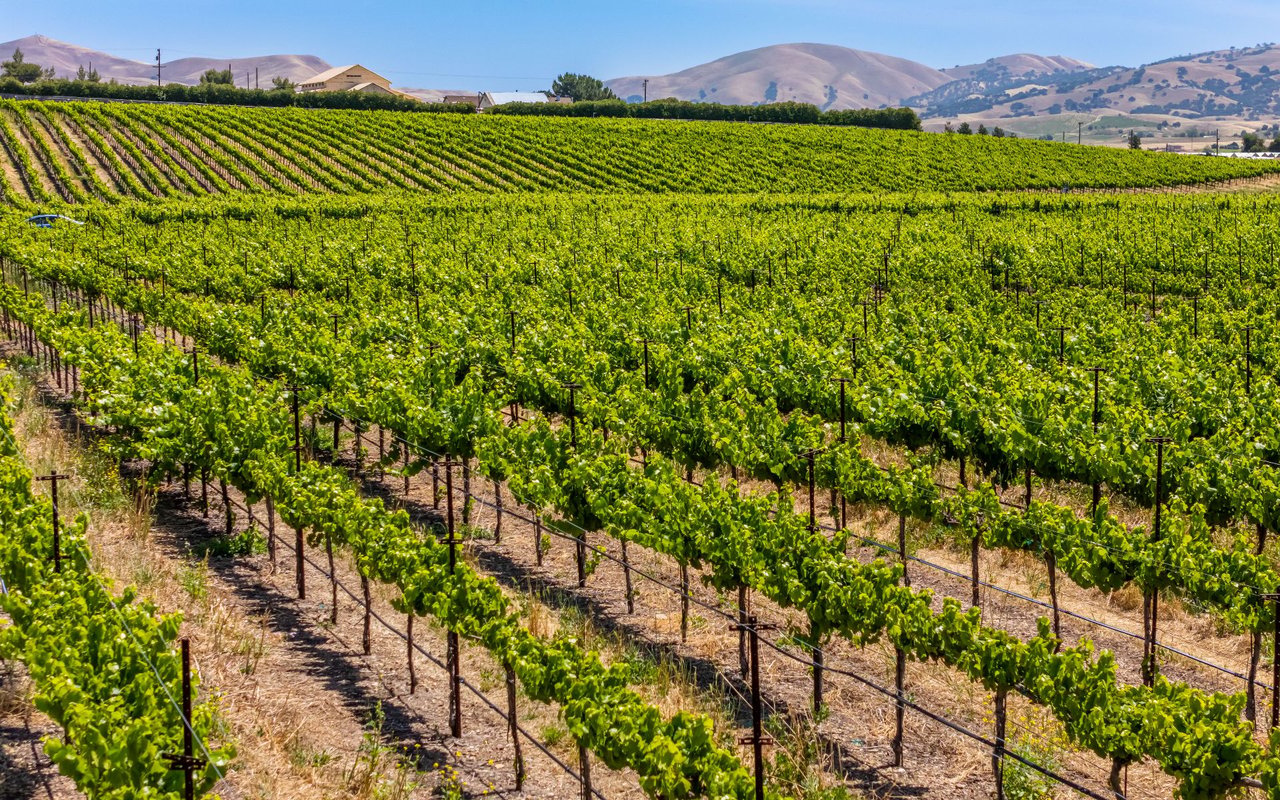 Livermore