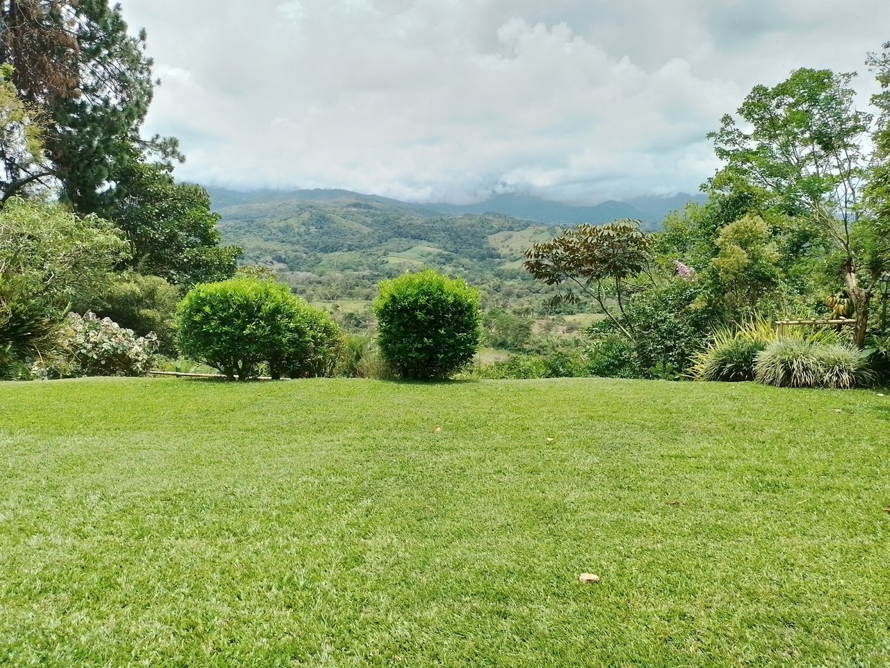 Coffee Farm Hacienda Estate, Perez Zeledon, San Jose