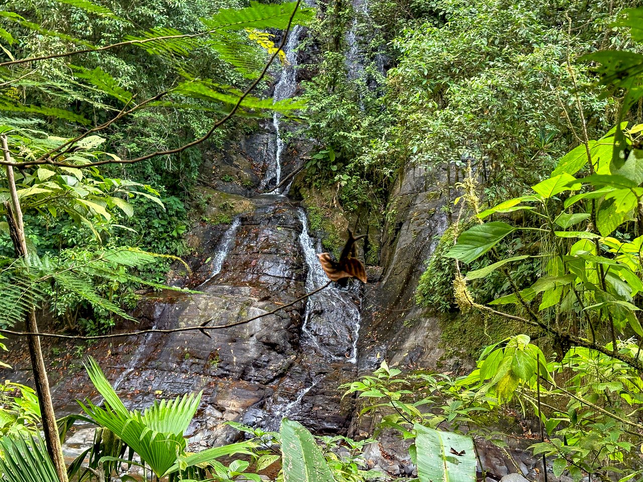 A Huge Rainforest, River & Waterfall Property With TWO Mountain & Jungle-View Luxury Homes on a Massive 4.93 Acre Lot – PLUS an Additional Plantel ready for Development