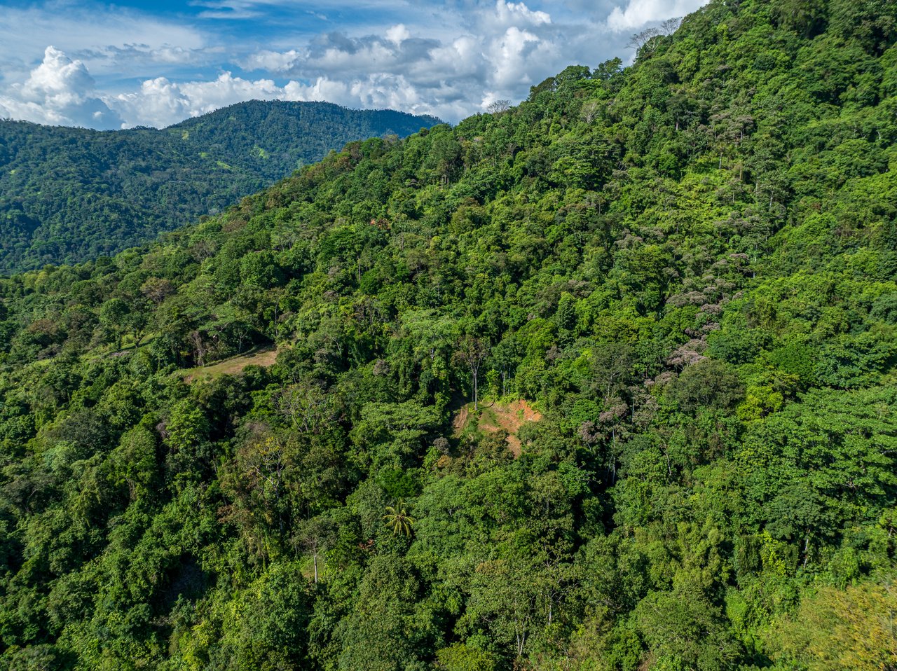 A Unique Ocean View Estate Designed for Visionary Investors