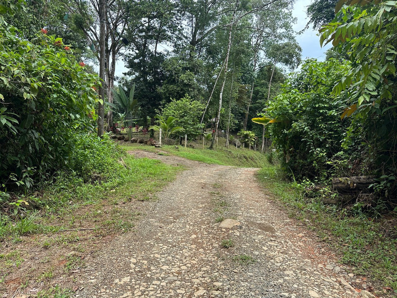 Ready to Build Ojochal Land with Riverfront 1.5 Acres, Residential and Commercial Possibilities!