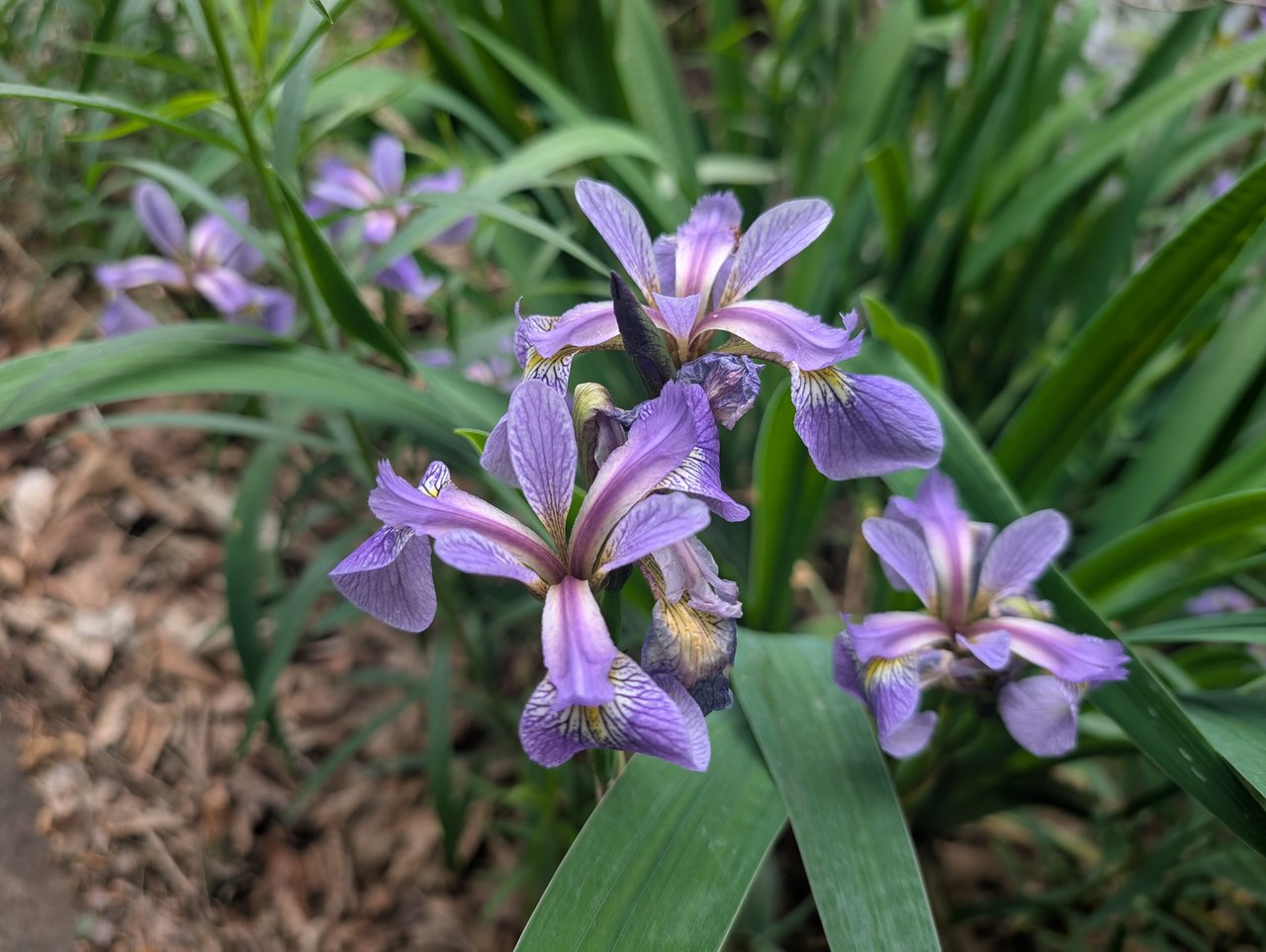 Key Conservation Organizations in the Hudson Valley
