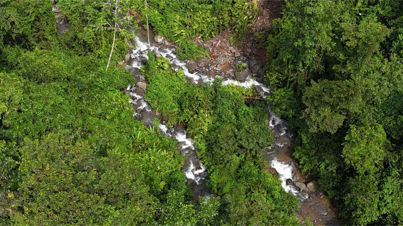 Rainforest Waterfall Acreage Estate, Dominical, Puntarenas