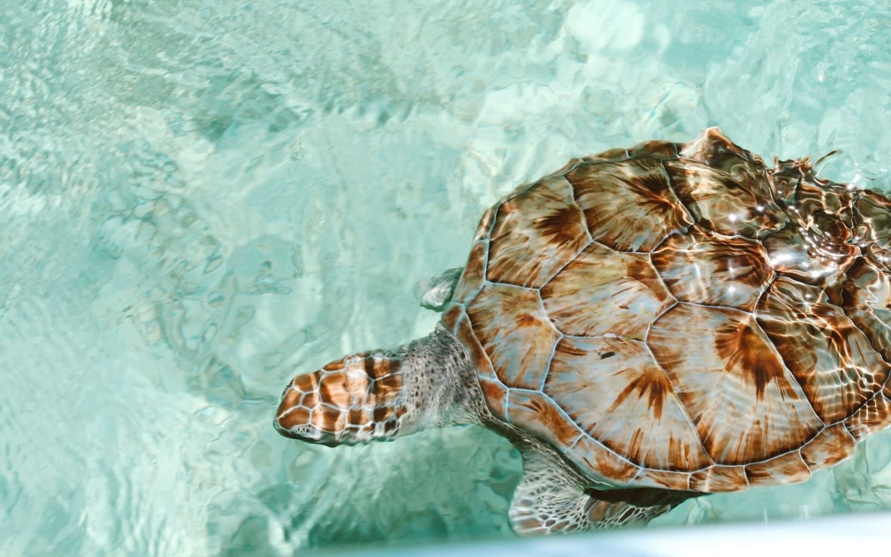 Key Largo