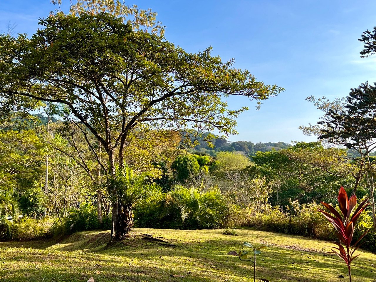 Modern Three-Bedroom Home On 6+ Acres In Ojochal