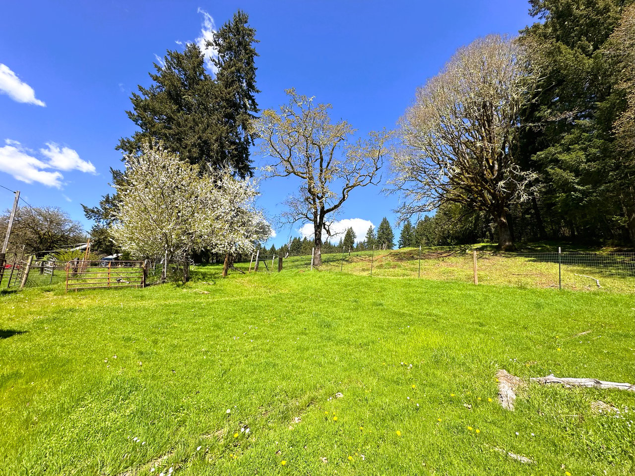 Panther Creek Homestead