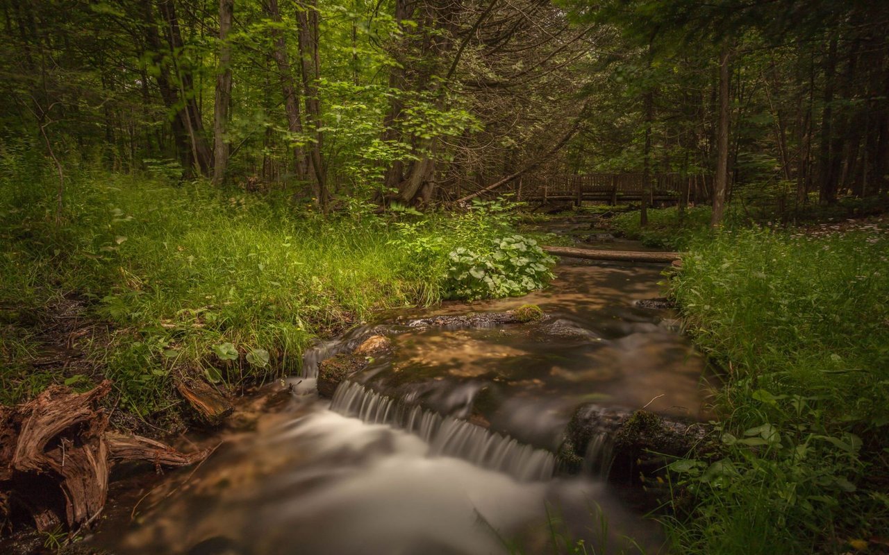Kalkaska