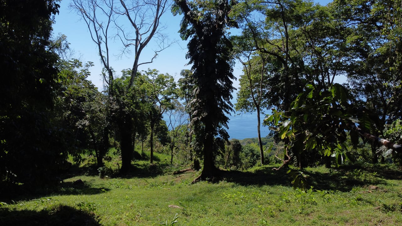 Exclusive 5.80 acres Ocean View Estate Lot in Costa Verde Estates – Escaleras