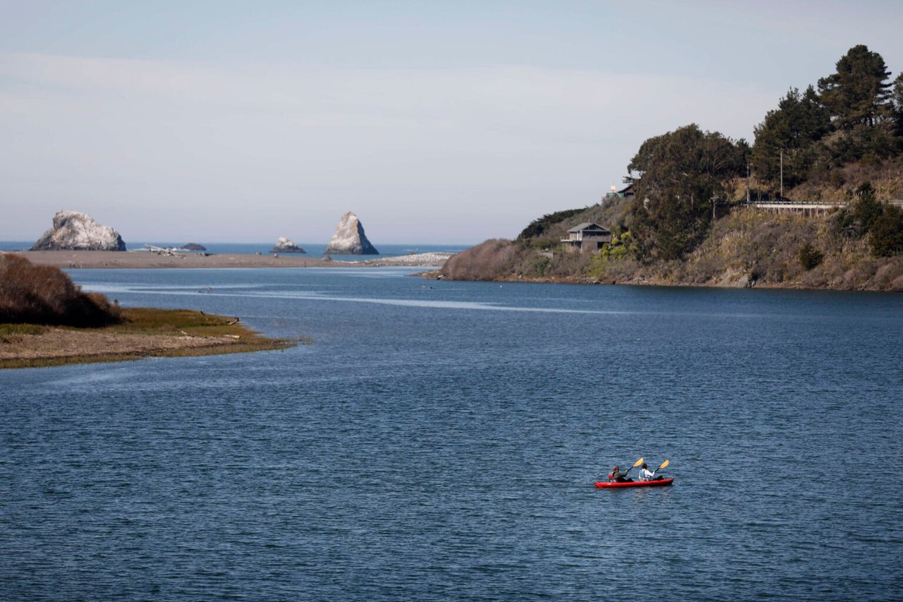 Where To See Bioluminescence in Sonoma and Marin Counties