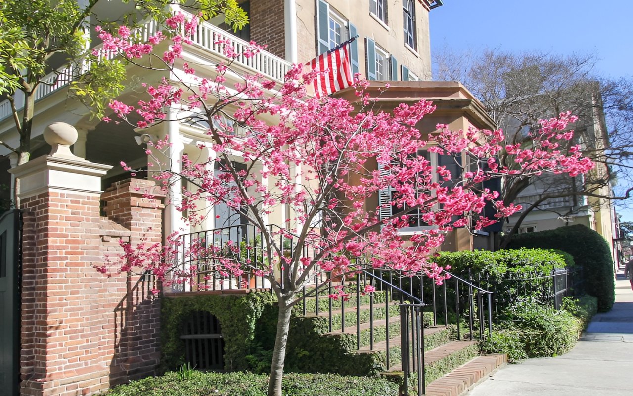 Thinking of Selling This Spring?