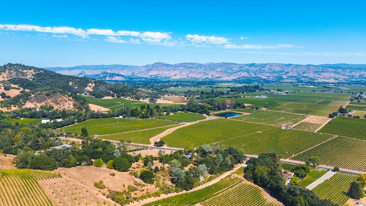 Dry Creek Road, Napa Valley