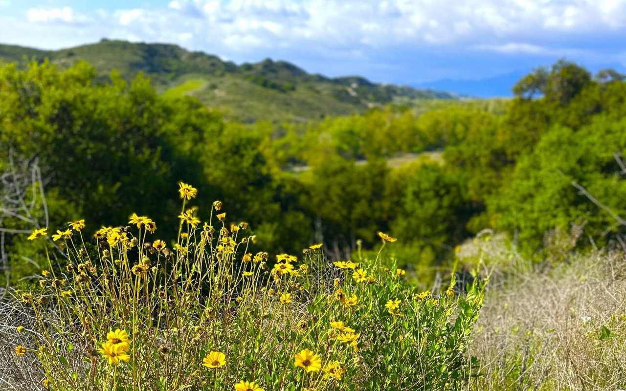 Rancho Mission Viejo