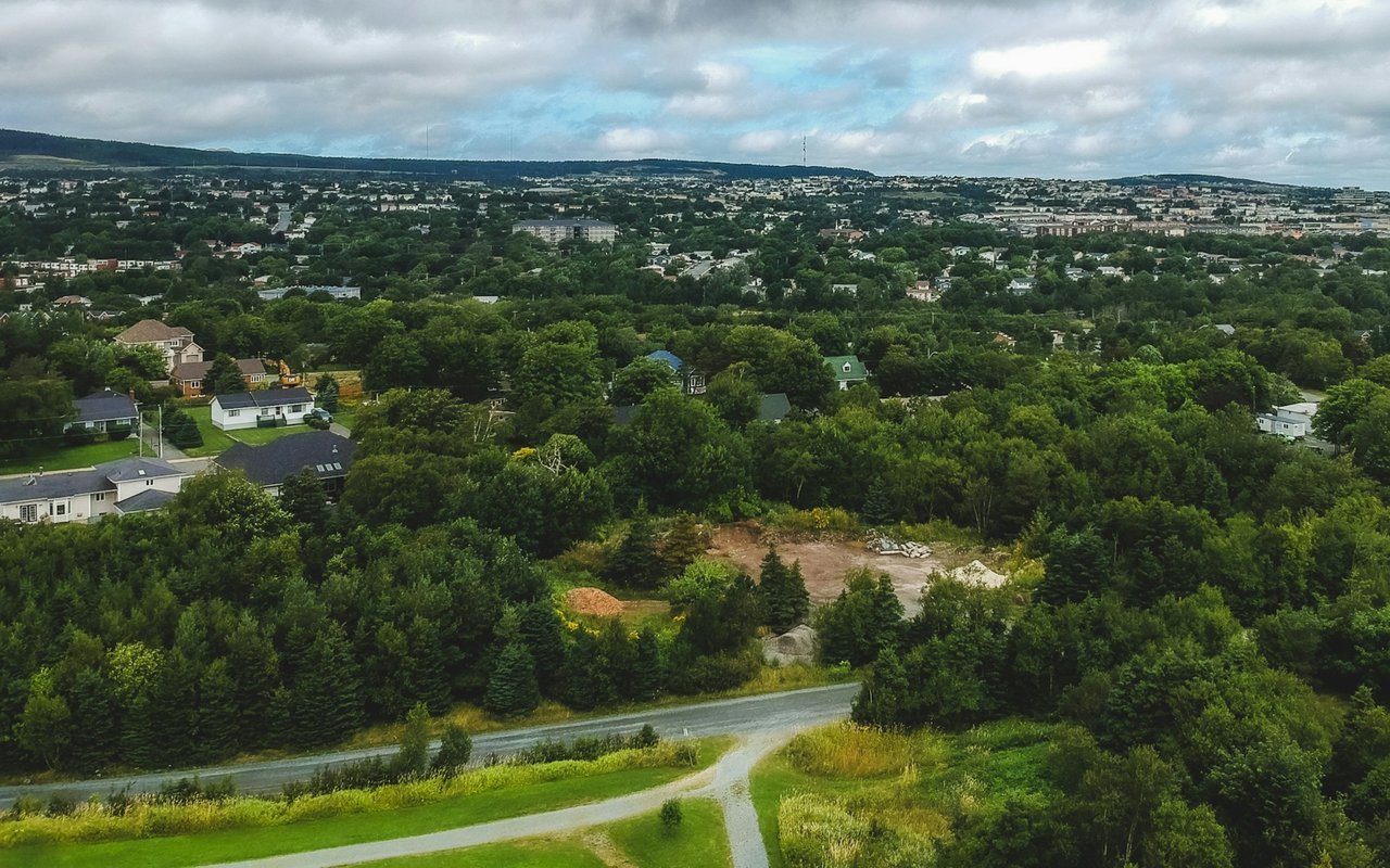 Aerial view of Clewiston’s tree-lined residential neighborhood beneath a cloudy sky.
