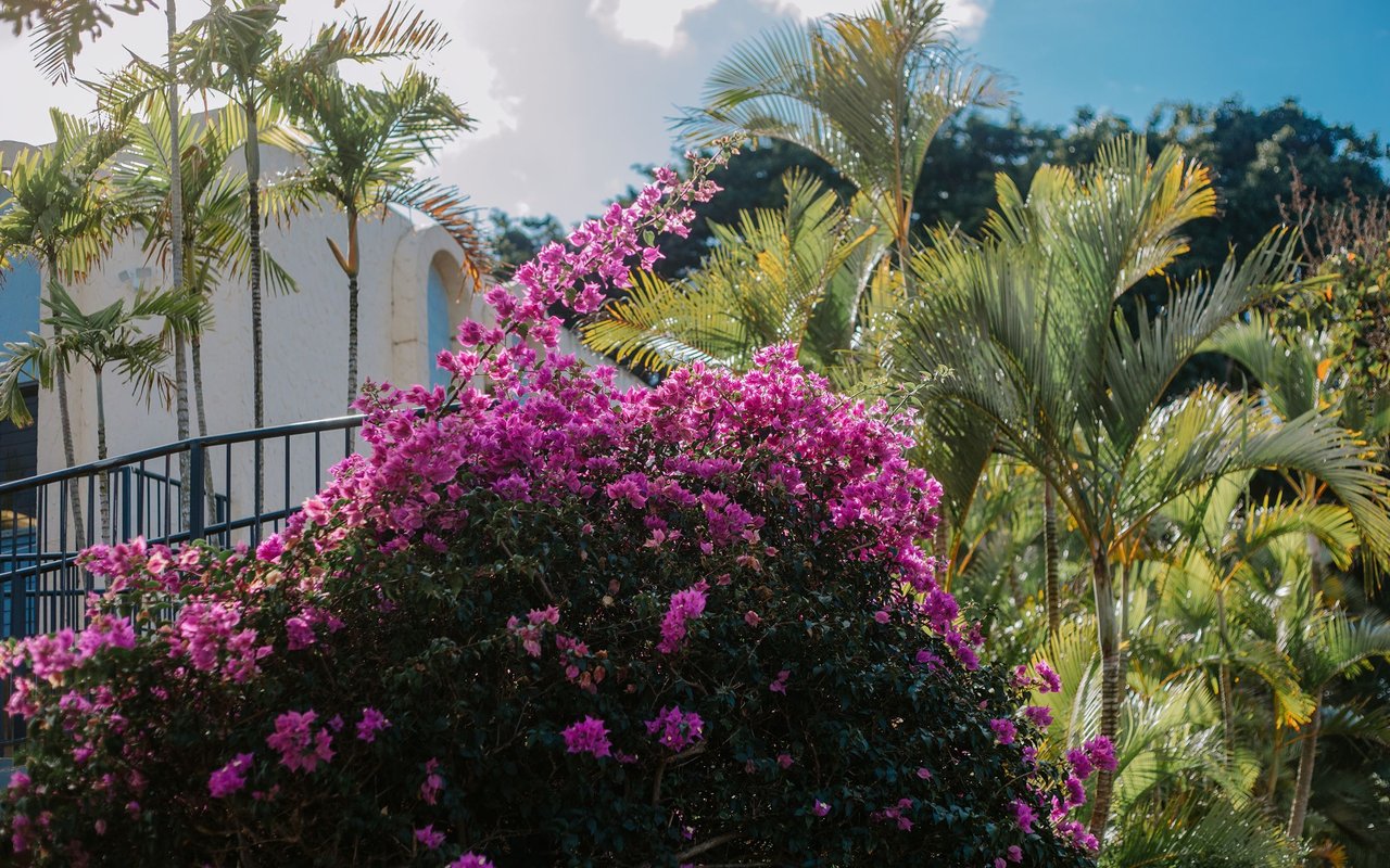 Mililani