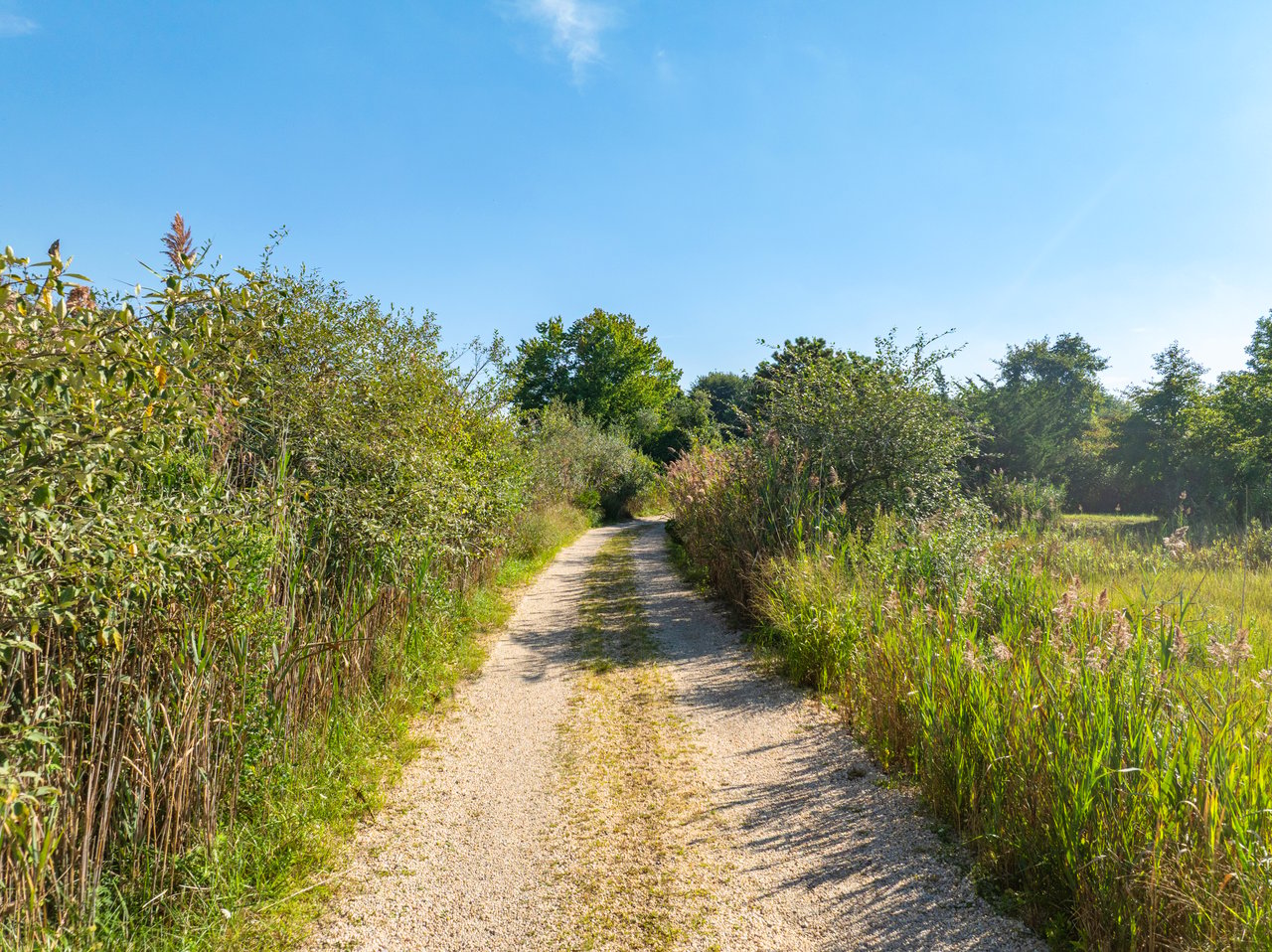 Bayward: The Hamlet’s Most Remarkable Water Views