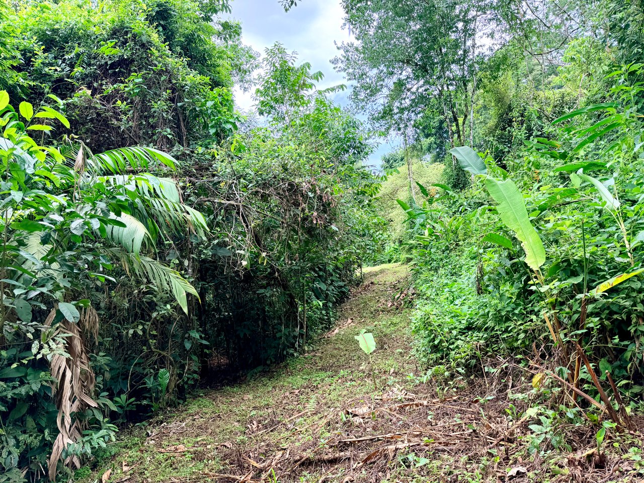 La Unión Road Development – Buildable Lots with River Access in Uvita