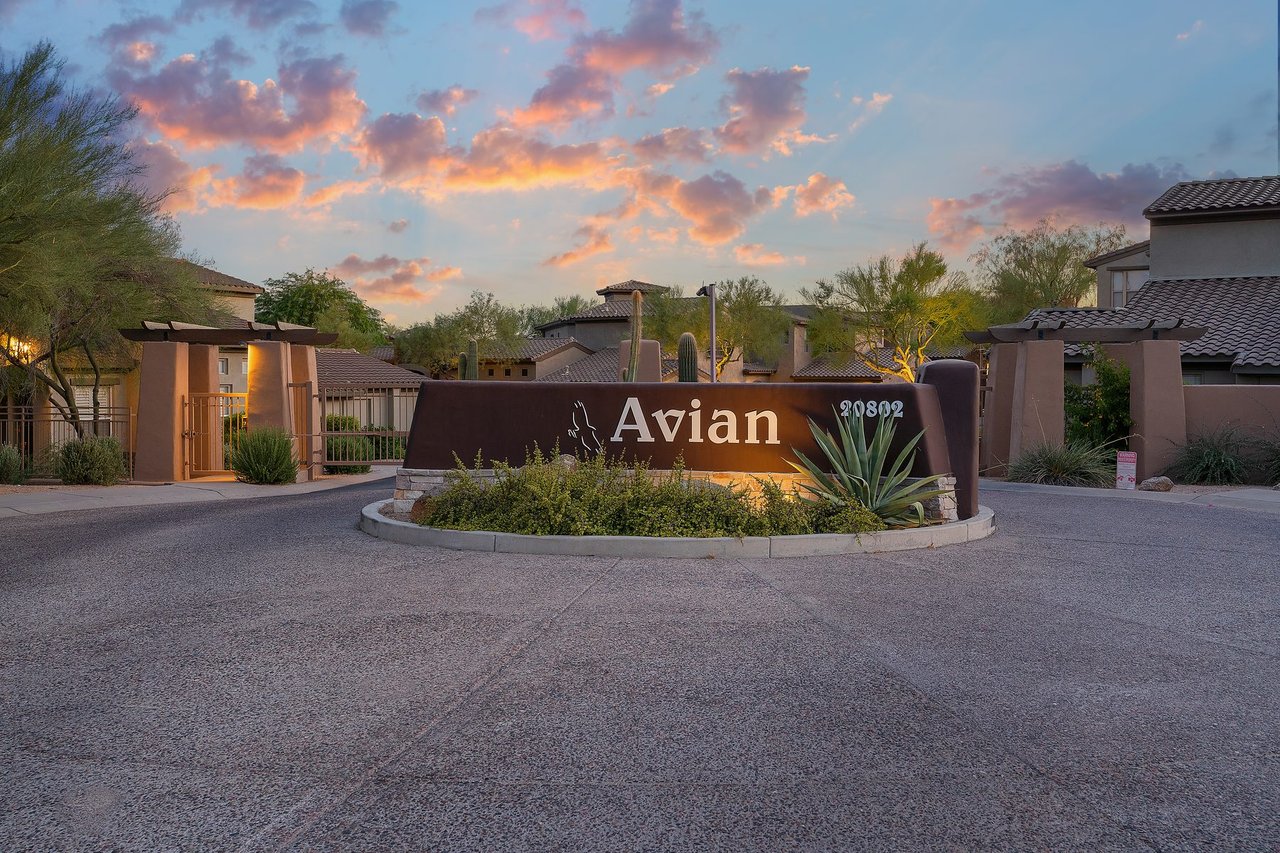 Cachet at Grayhawk vs Avian vs Encore: Which Grayhawk Community Fits You Best?