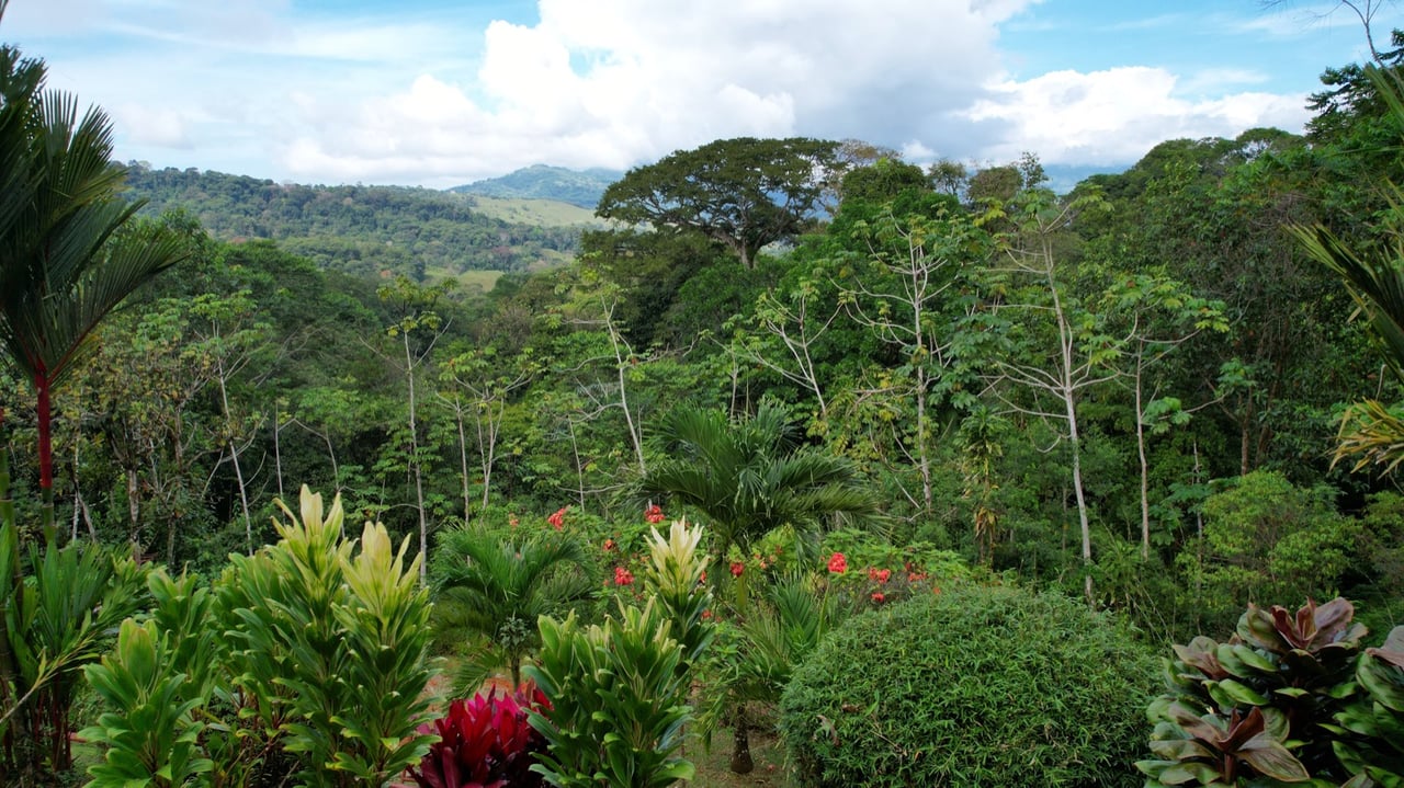 Valley of Dreams - A Beautiful Multi-Use Property Near Cacao Ridge, 10.85 Acres at a Phenomenal Price!