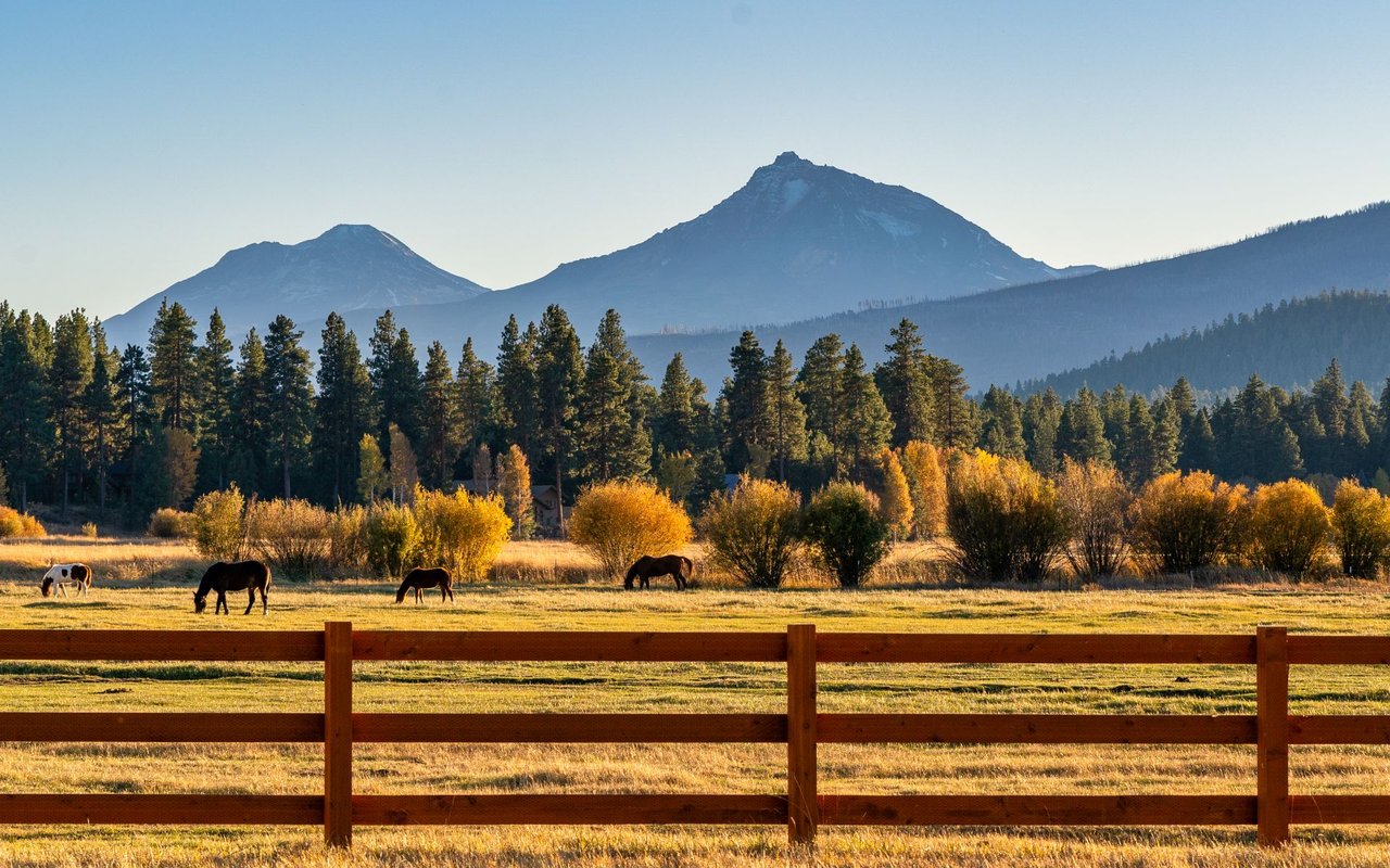 Powell Butte