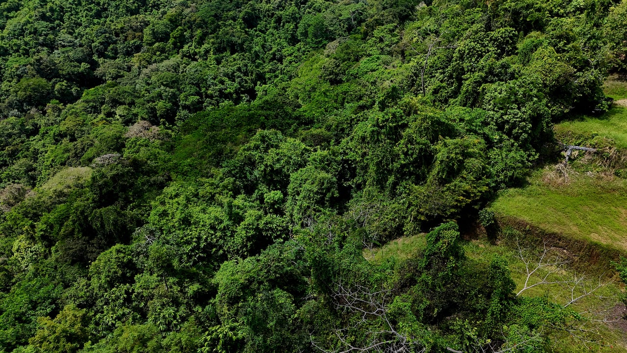 Ocean-View Lot in Chontales – 9,057 m² – Osa, Puntarenas