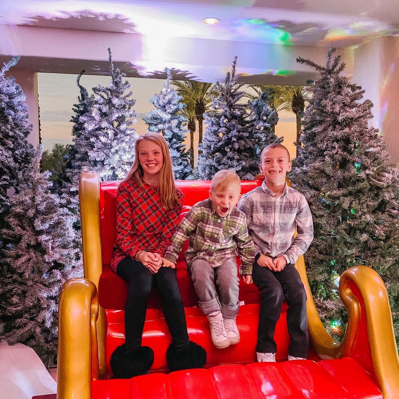 Celebrate the Season: Fun Holiday Activities Around Phoenix, Scottsdale, and the Valley