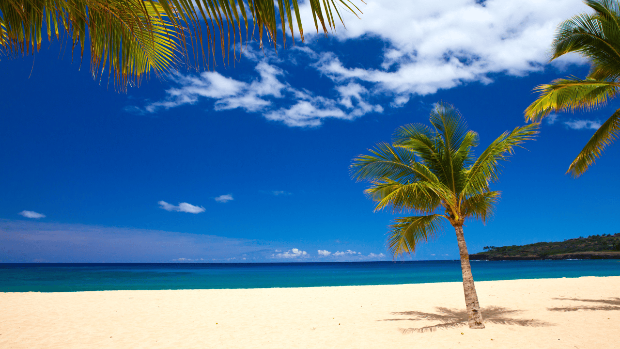 Unlocking Investment Potential: Why South Maui Vacation Rentals Are Hotter Than Ever