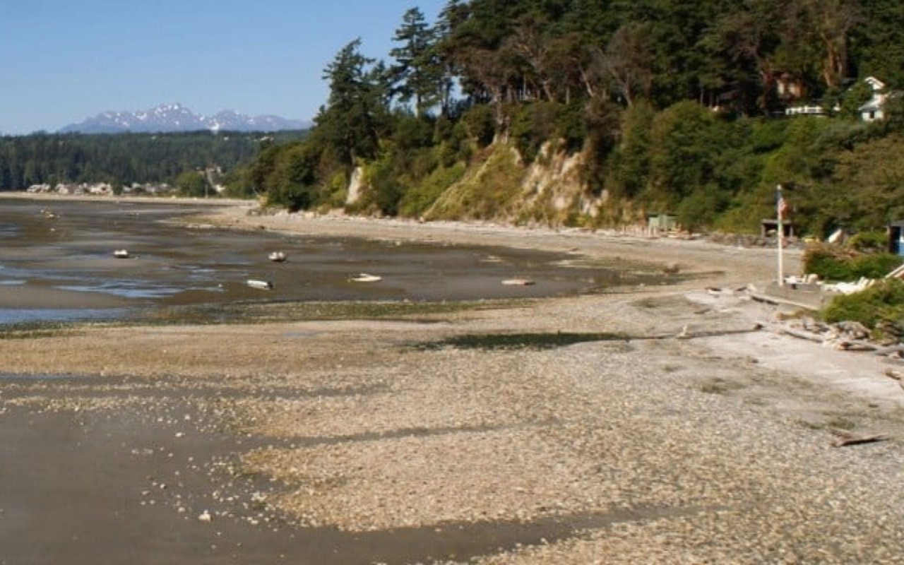 Indianola