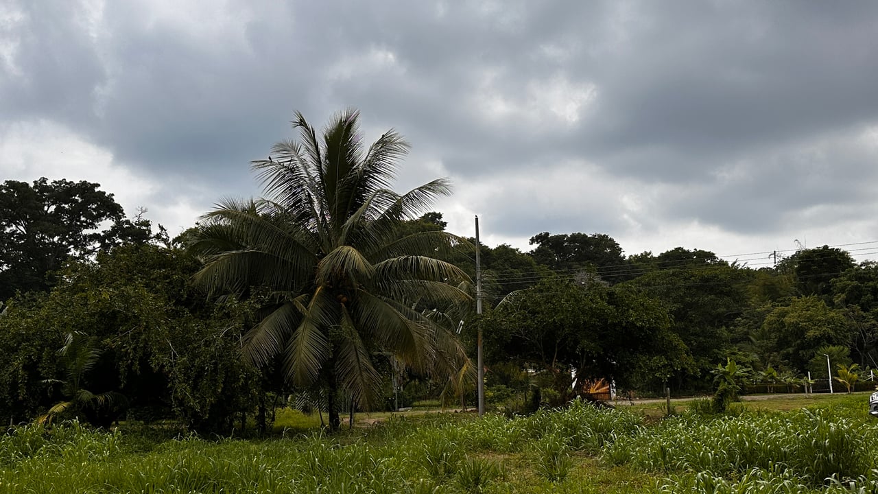 Beach Area Lot in Quiet Corner on Uvita Bahia
