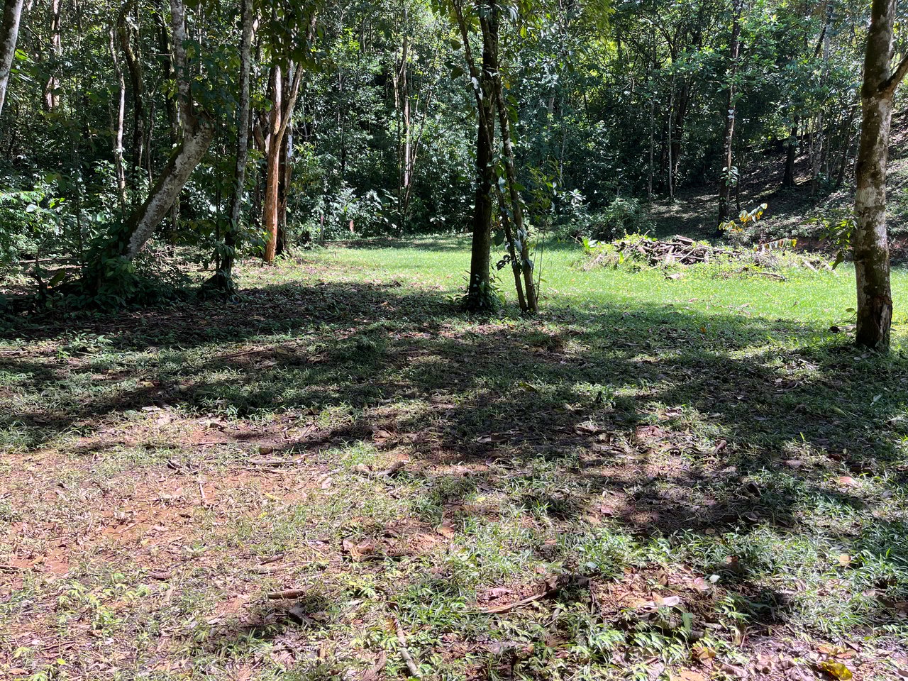Tortuga Abajo Lot, Just before Ojochal.