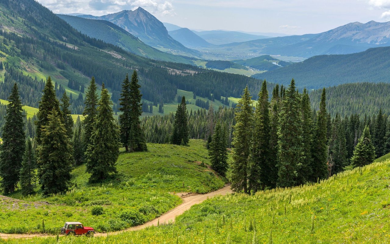 West Meadows | Preserve | Elk Run | Raspberry Patch