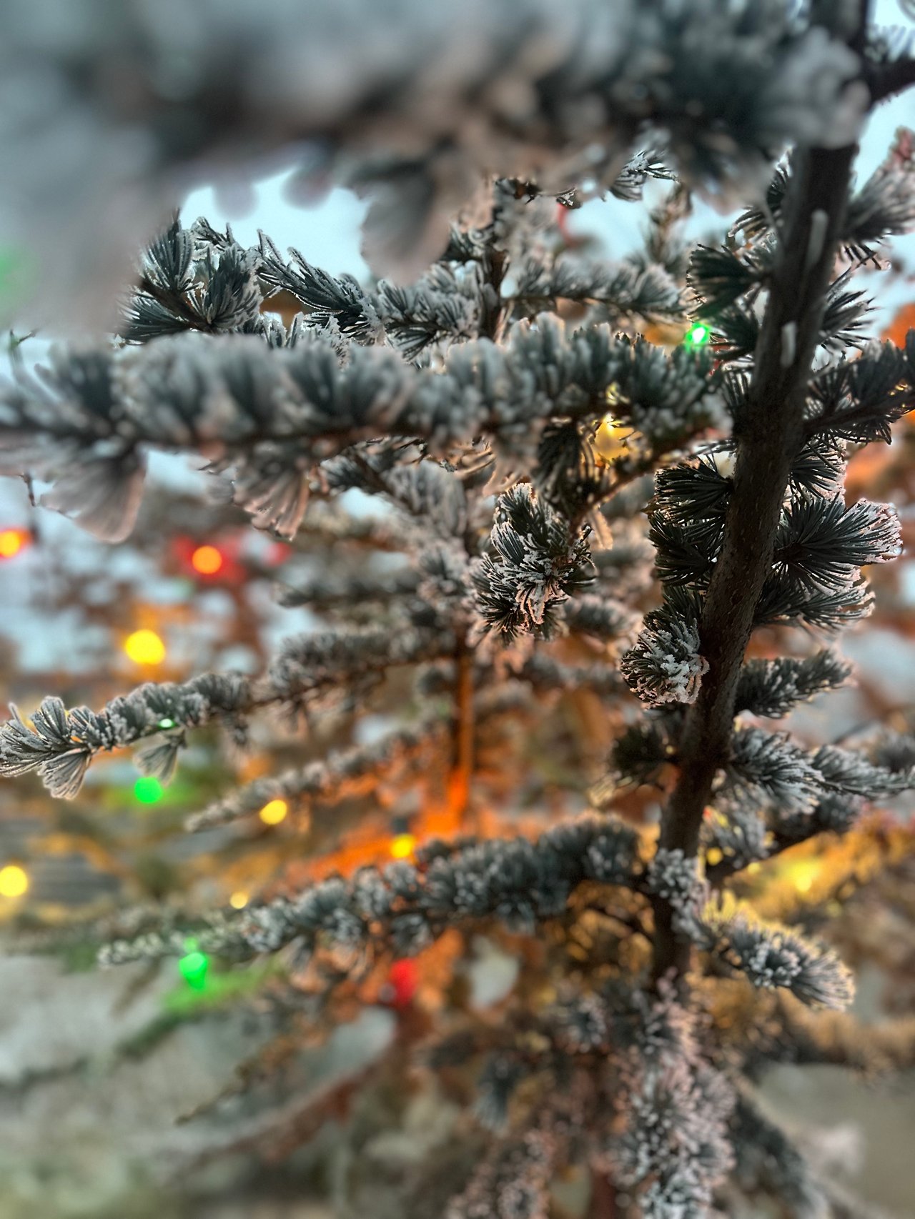 Central Oregon Real Estate Market Newsletter || January 2026