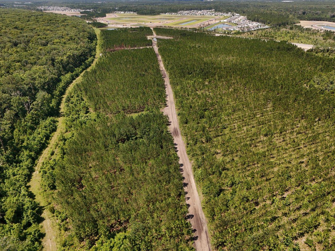 Woodland corridor leading to Saddletree new construction community