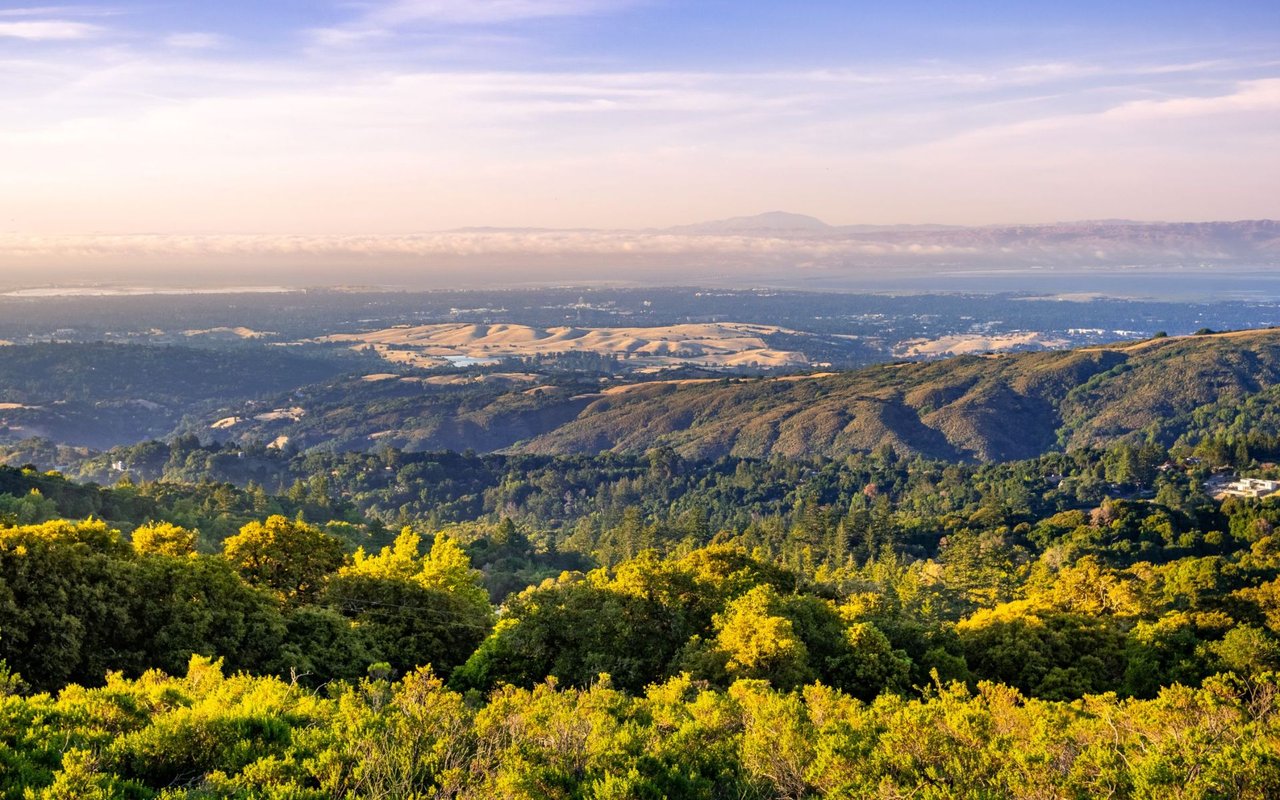 Panoramic Bay Area view from wooded hills, with distant water and mountains in warm evening light.