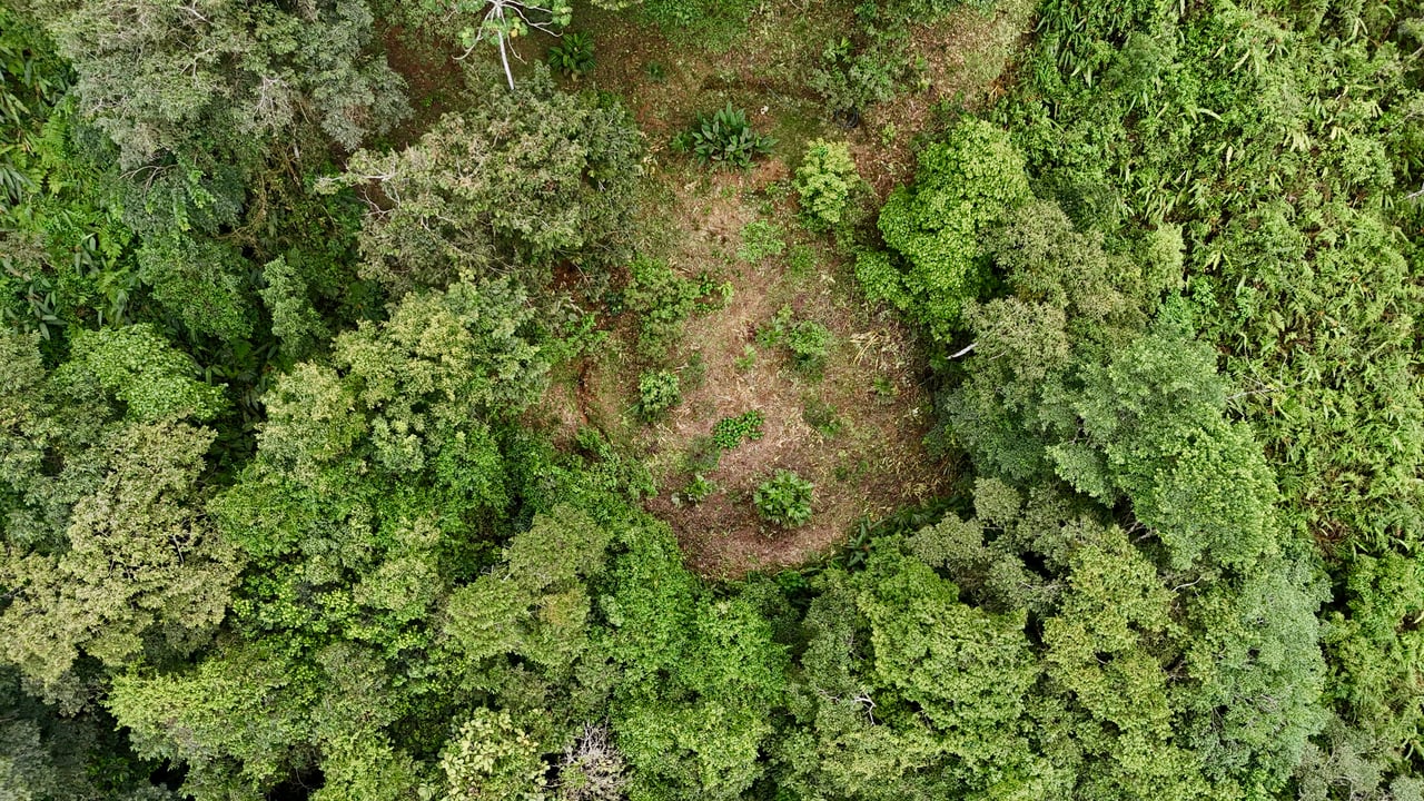 The Last of Its Kind Property in San Luis de Morete, Over 1.53 Acres