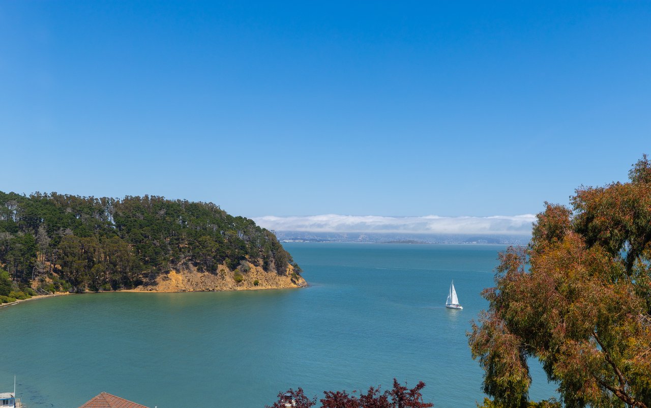 Picturesque Views of the Bay and Angel Island