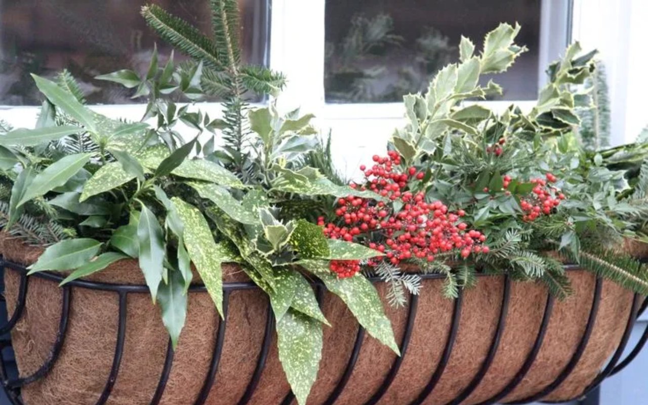 Exterior Holiday Decor