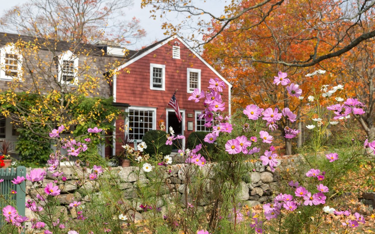 Wilton