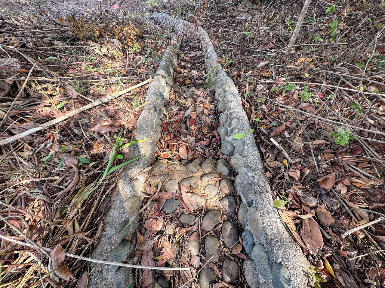An elevated 1.2 acres lot with two plantels, panoramic mountain and jungle views.