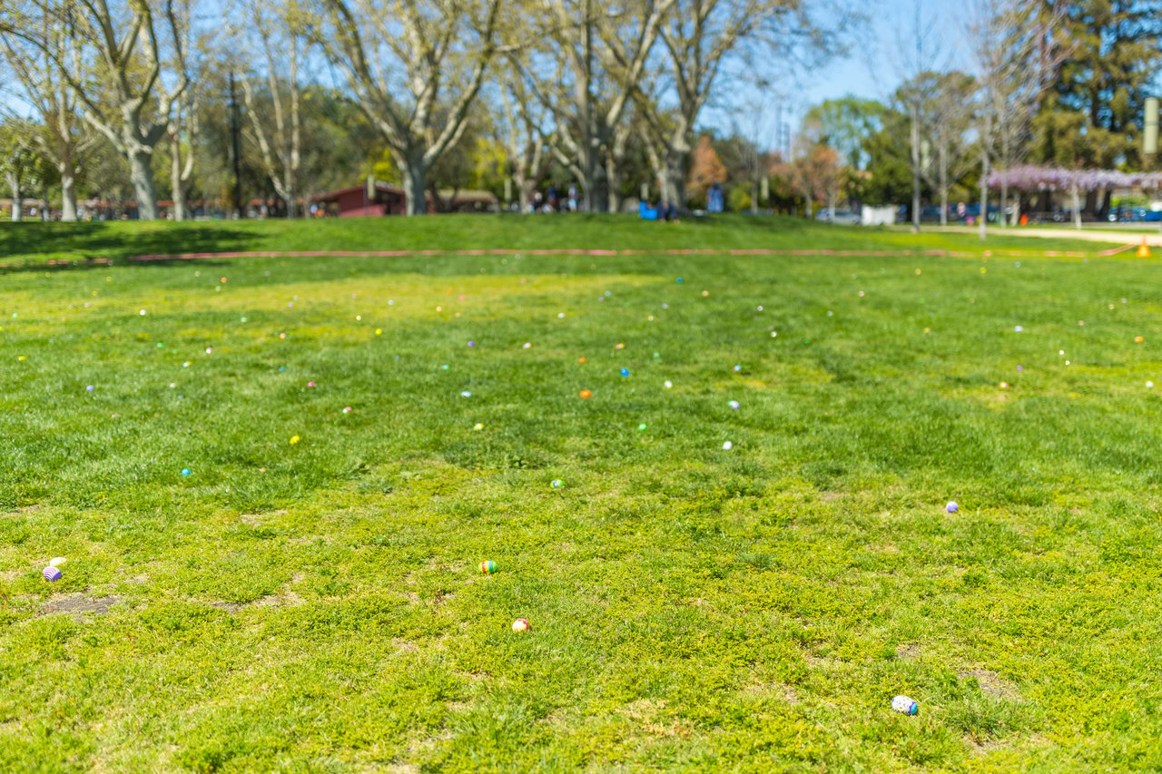 Easter Egg Hunt Fun