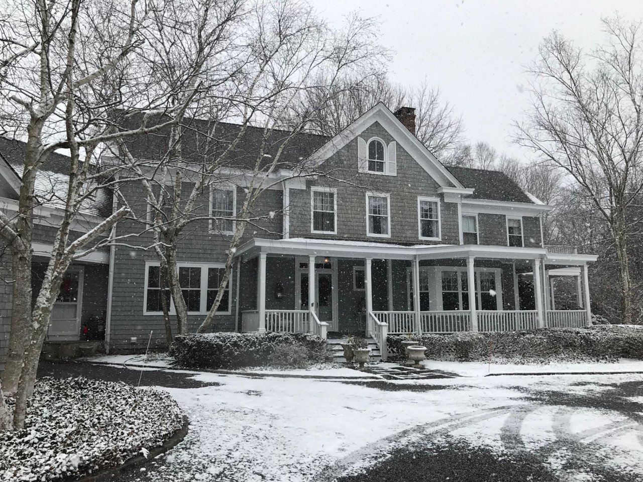 11 Walnut Tree